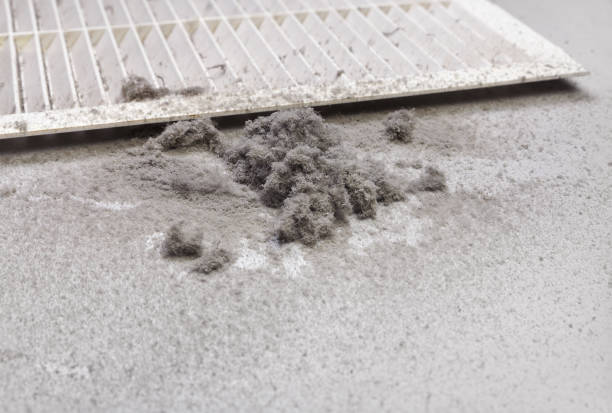Best Best Air Duct Cleaning Company  in Salisbury, MD