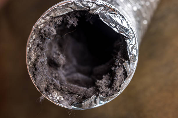 Best Residential Air Duct Cleaning  in Salisbury, MD